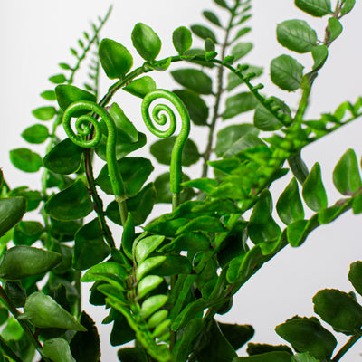 14" Boston Fern Leaves Bush (UV Shield)