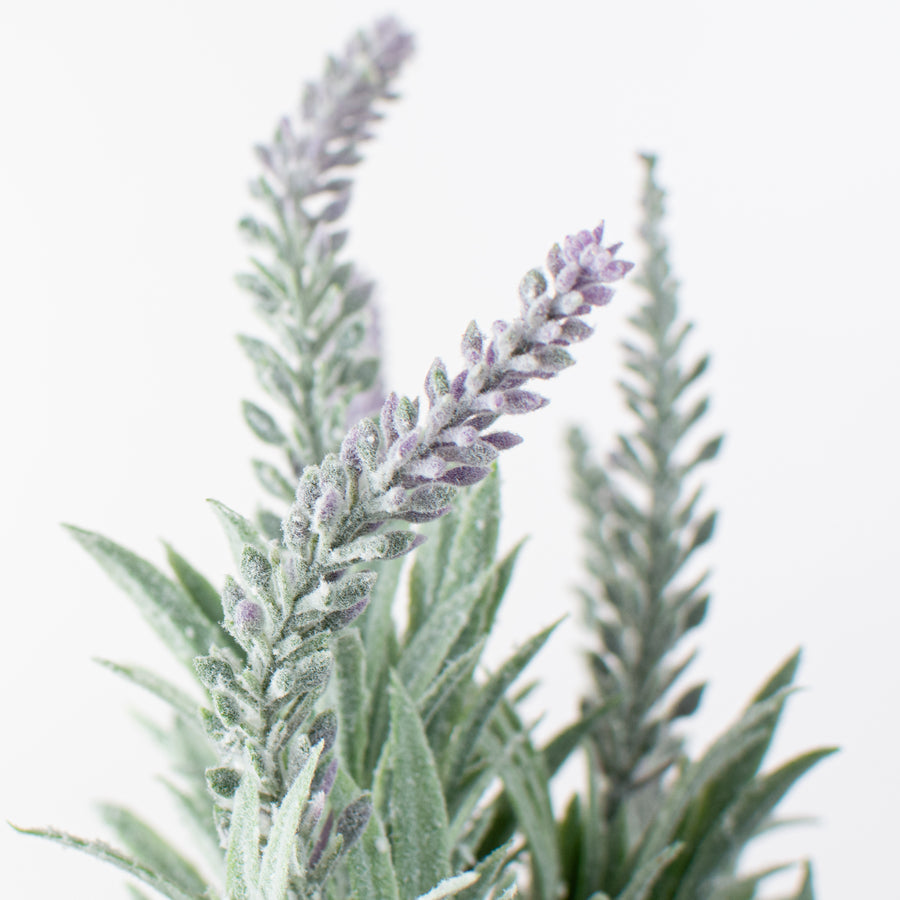 14" Lavender Bush (7 Stems)