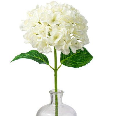 19" Deluxe Mophead Hydrangea Spray: Ivory, Cream