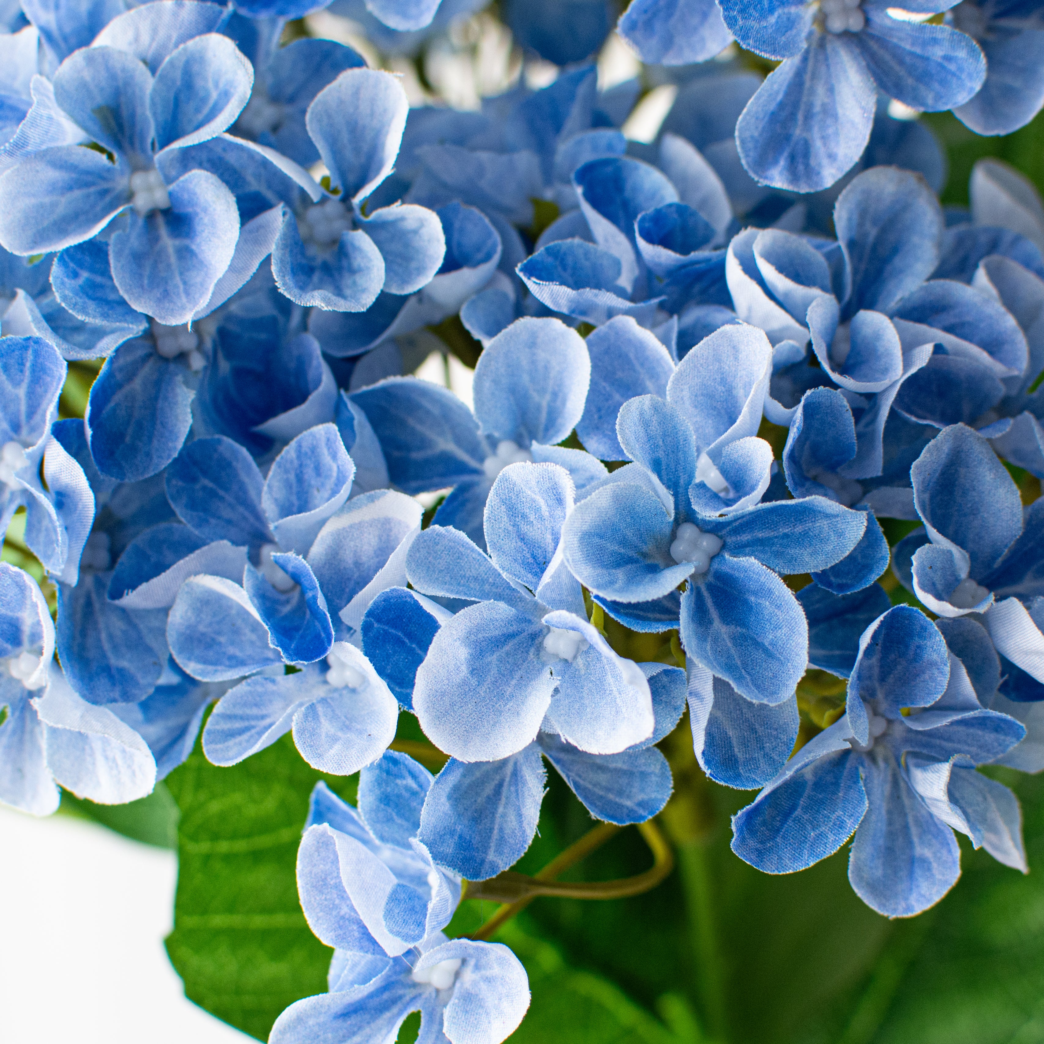 23" Hydrangea Bush: Blue