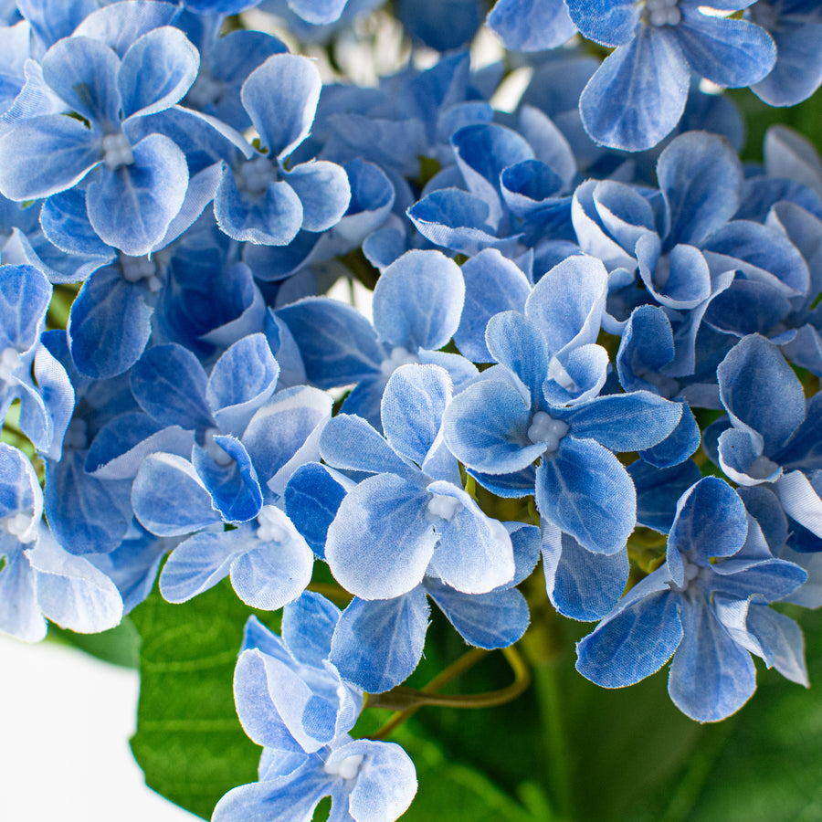 23" Hydrangea Bush: Blue