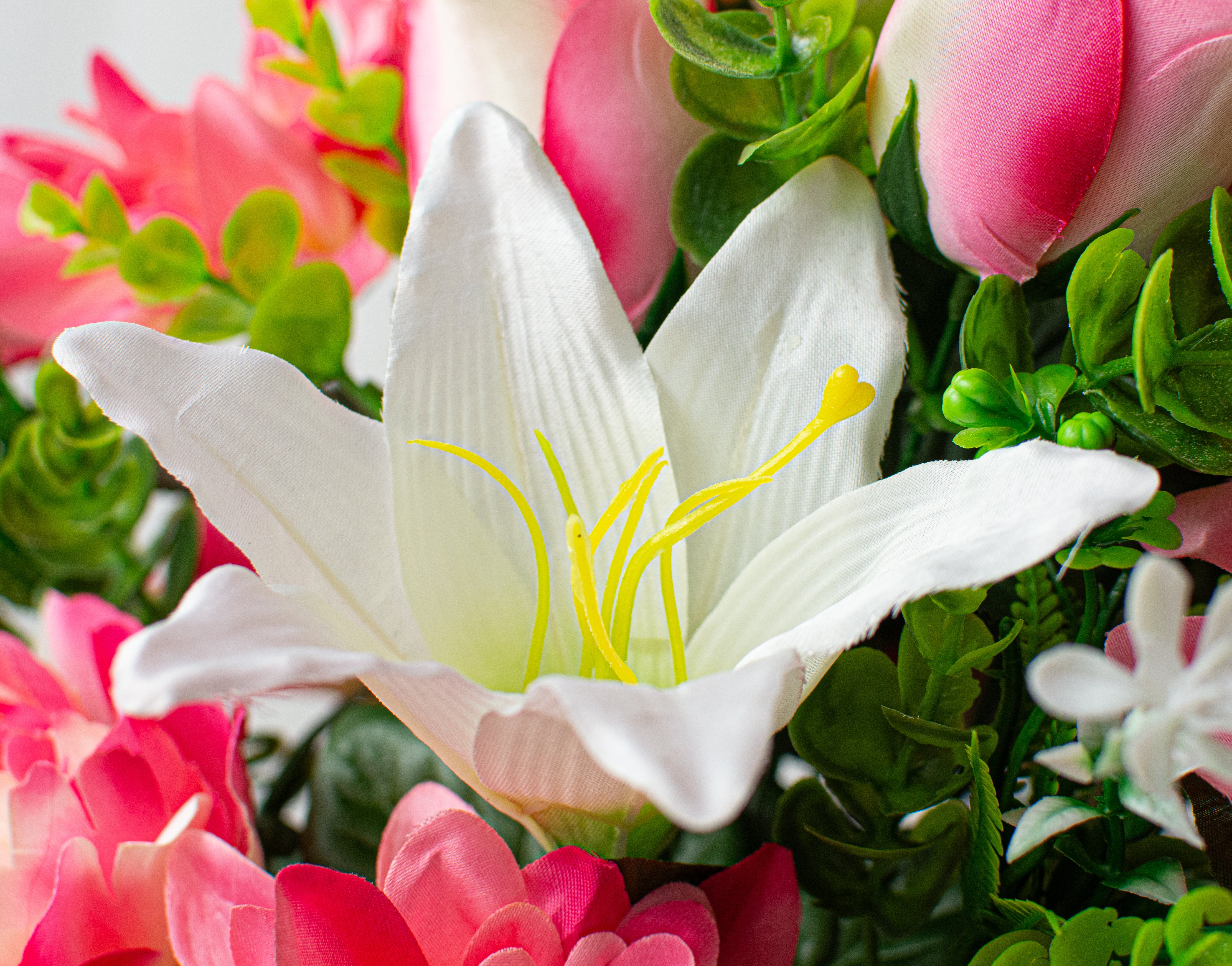 24" Peony, Dahlia, Lily, Rose Bush: Pink & Cream