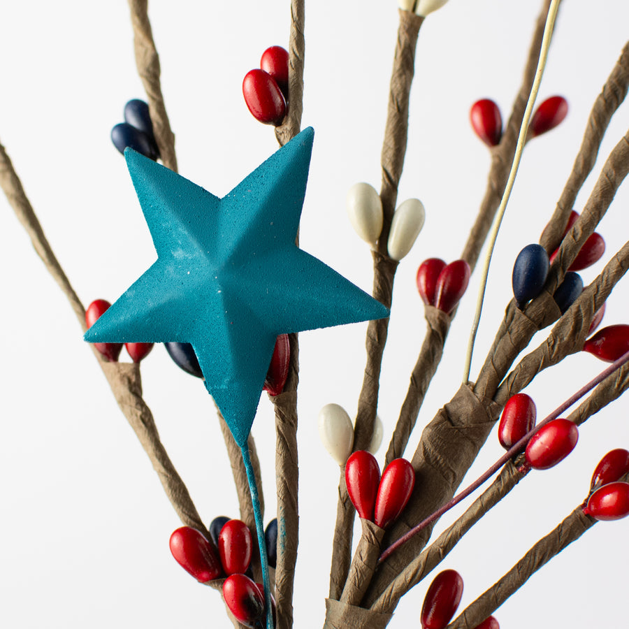 12" RWB Pips with Stars Pick