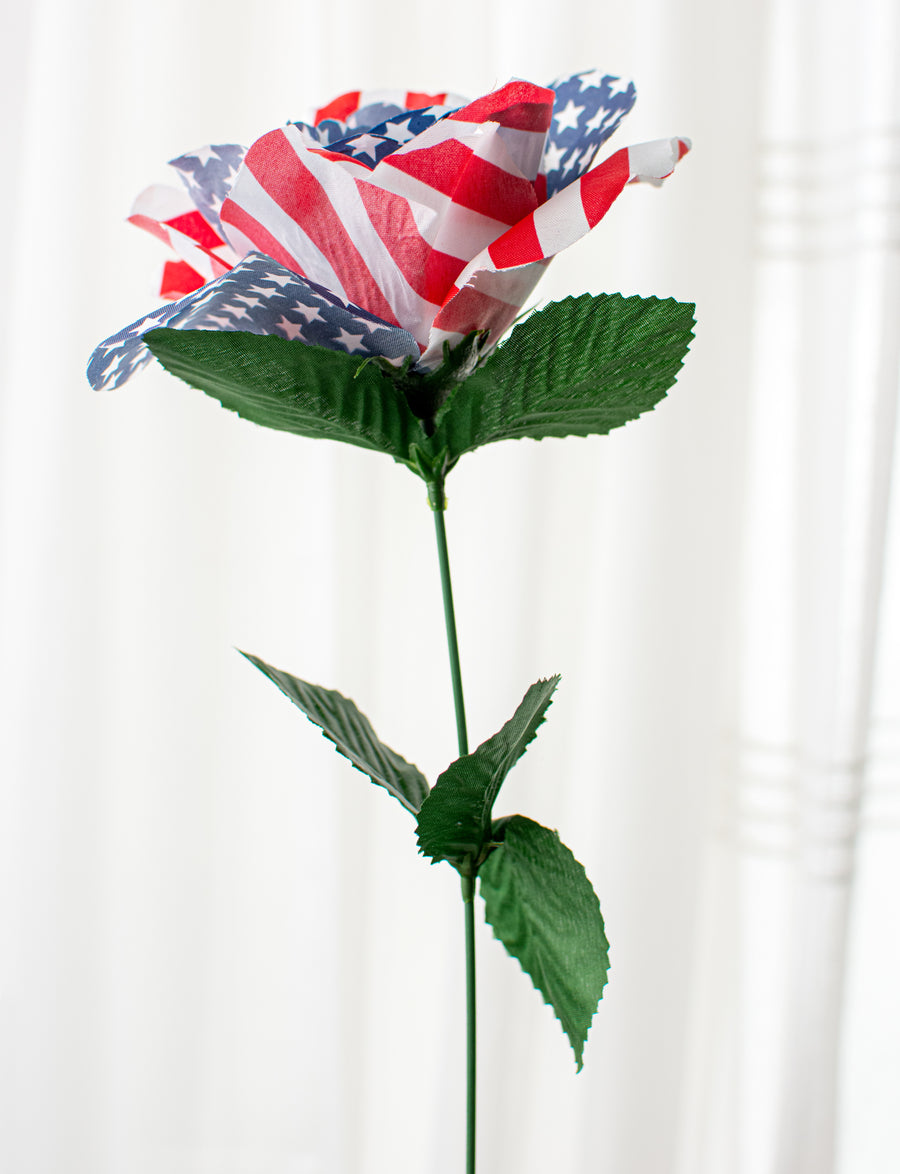 21" Colorfast American Flag Rose Bush