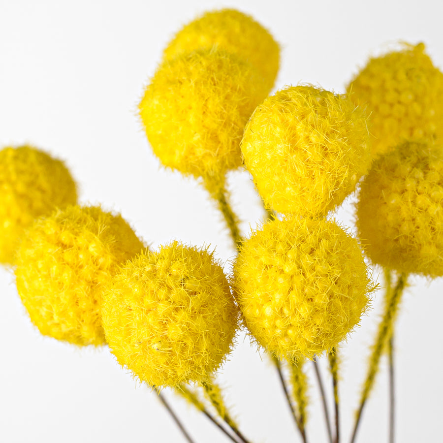 16" Billy Ball Bunch: Yellow