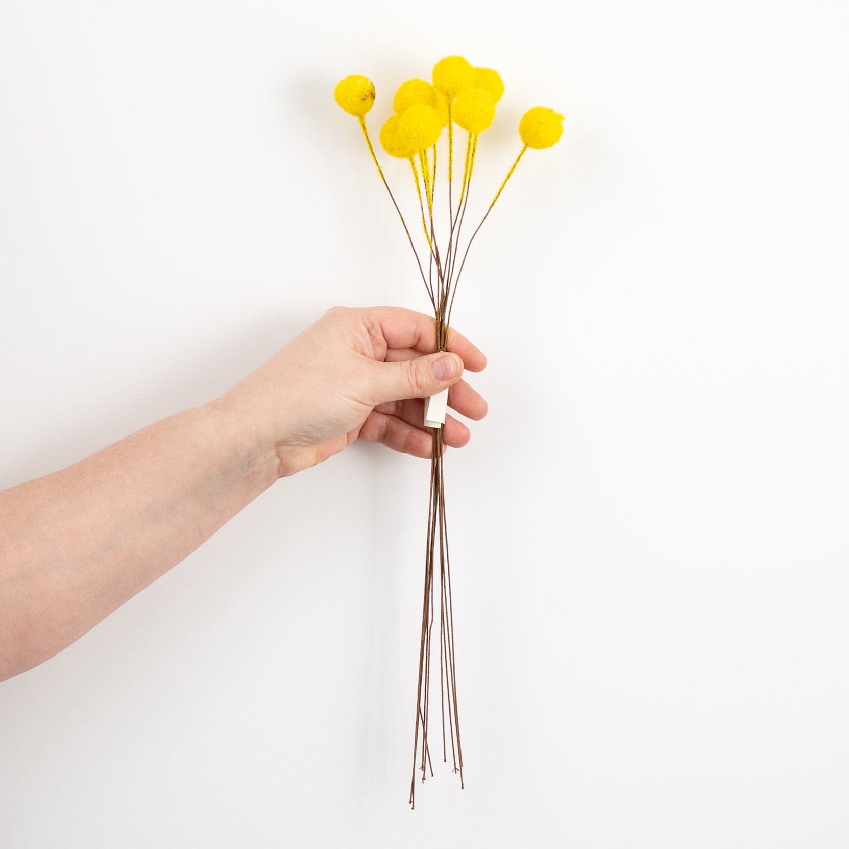16" Billy Ball Bunch: Yellow