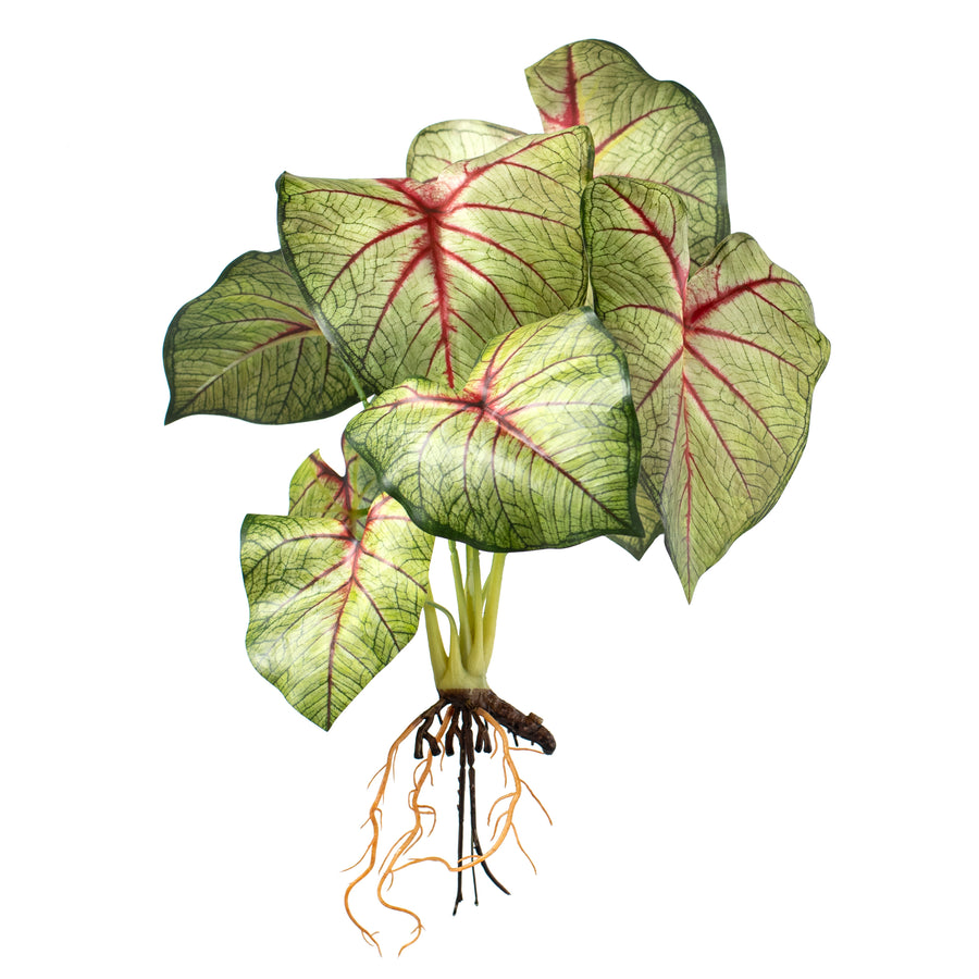 17" Artificial Caladium Plant: Green & Burgundy