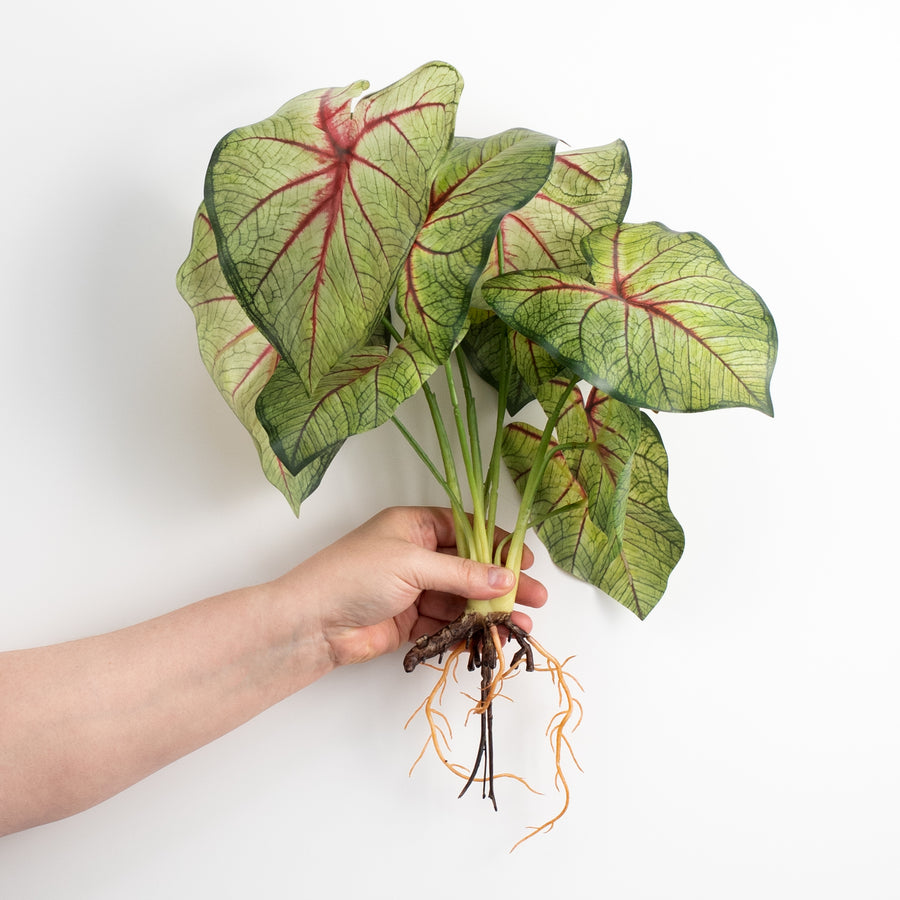 17" Artificial Caladium Plant: Green & Burgundy