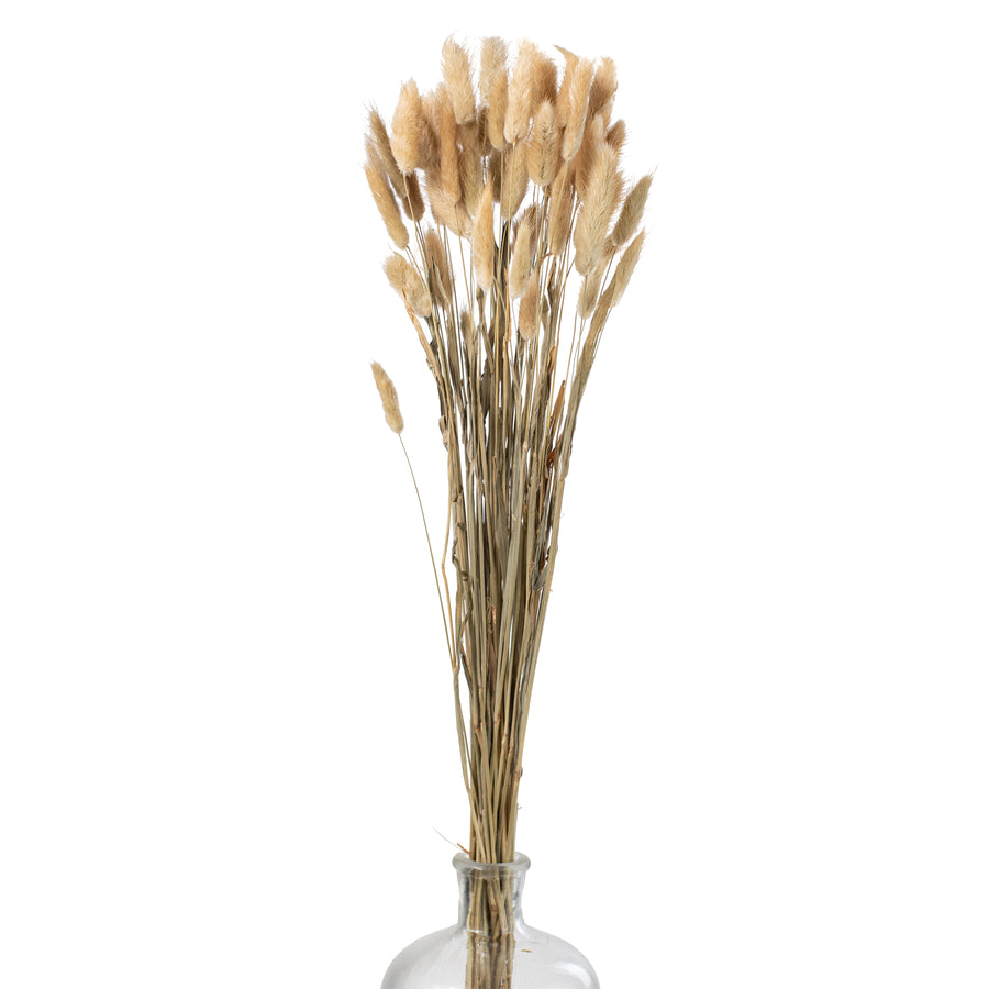 23" Dried Bunny Tail Bundle: Natural