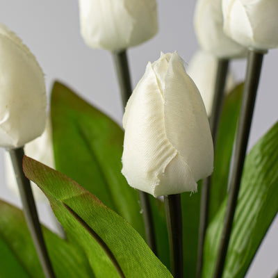 13" Tulip Bush: Cream (9 Stem)