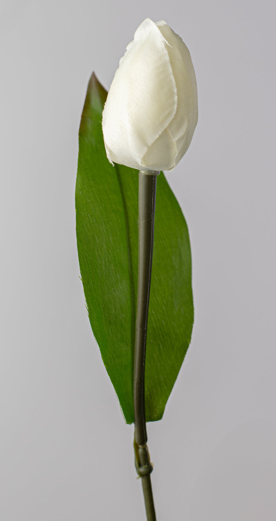 13" Tulip Bush: Cream (9 Stem)