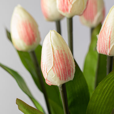 13" Tulip Bush: Cream & Pink (9 Stem)