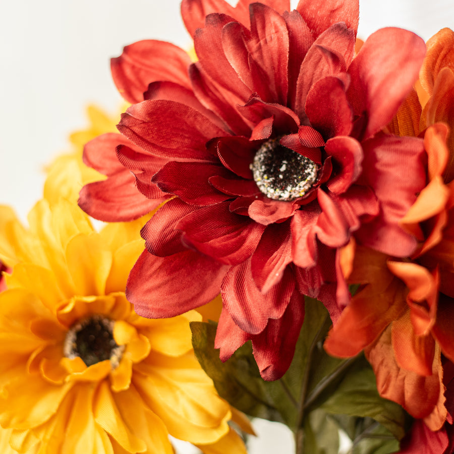 20" Color Fast Dahlia Bush: Fall Hues (9 Stem)