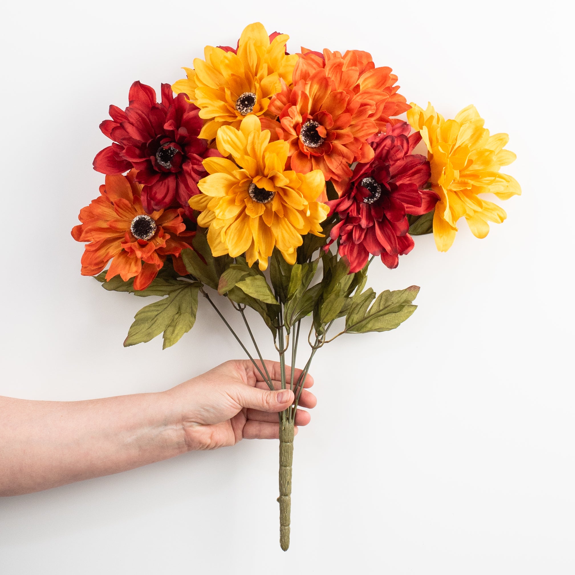 20" Color Fast Dahlia Bush: Fall Hues (9 Stem)