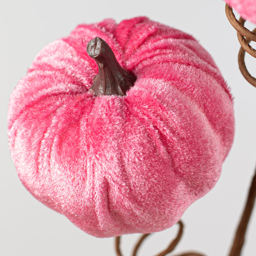 22" Velvet Pumpkins Spray: Fuchsia Pink