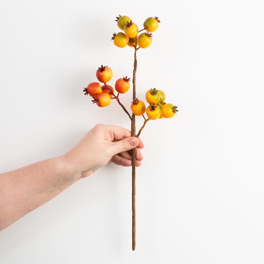 16" Crabapple Berry Pick: Fall Hues