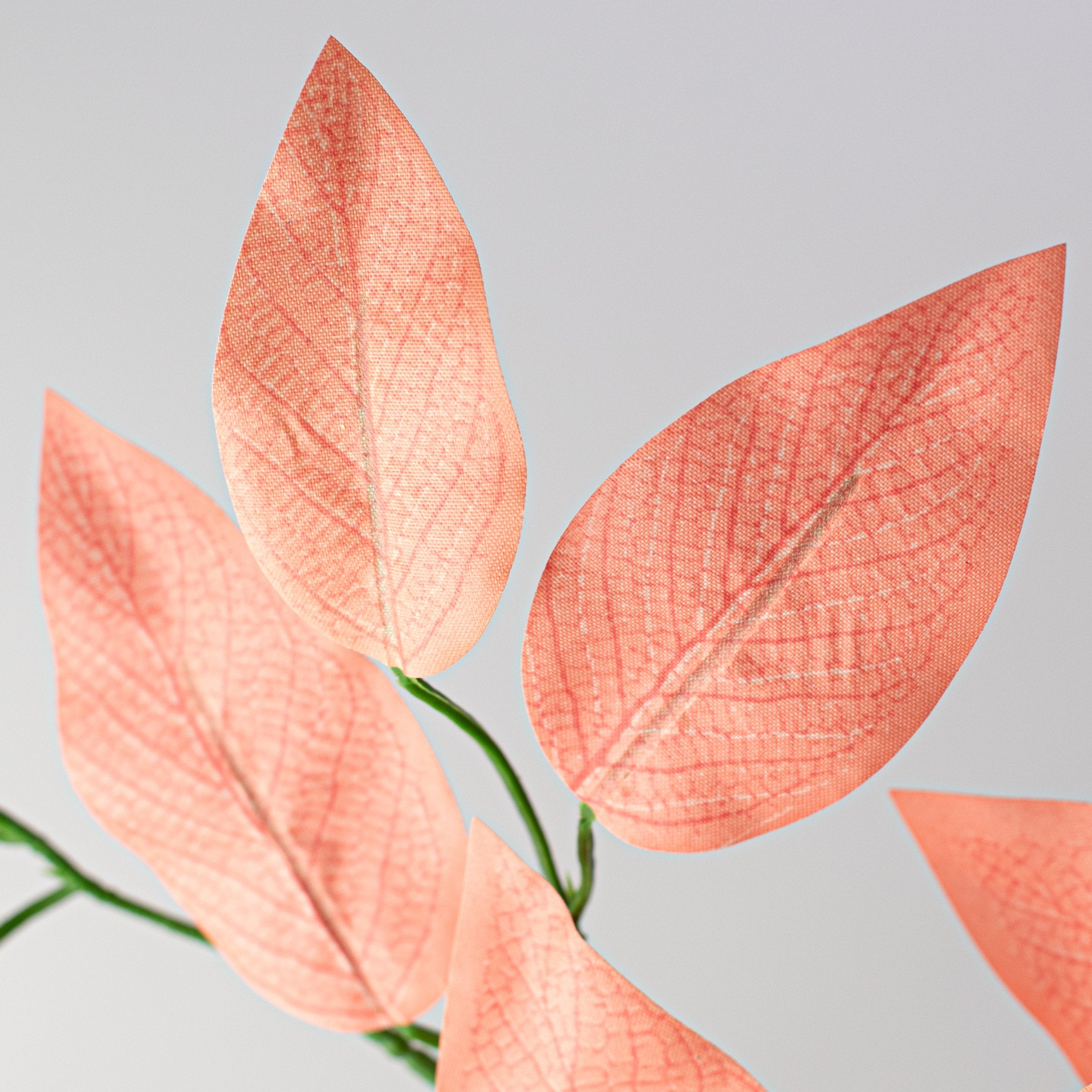 23" Ficus Leaf Spray: Coral Orange (12)