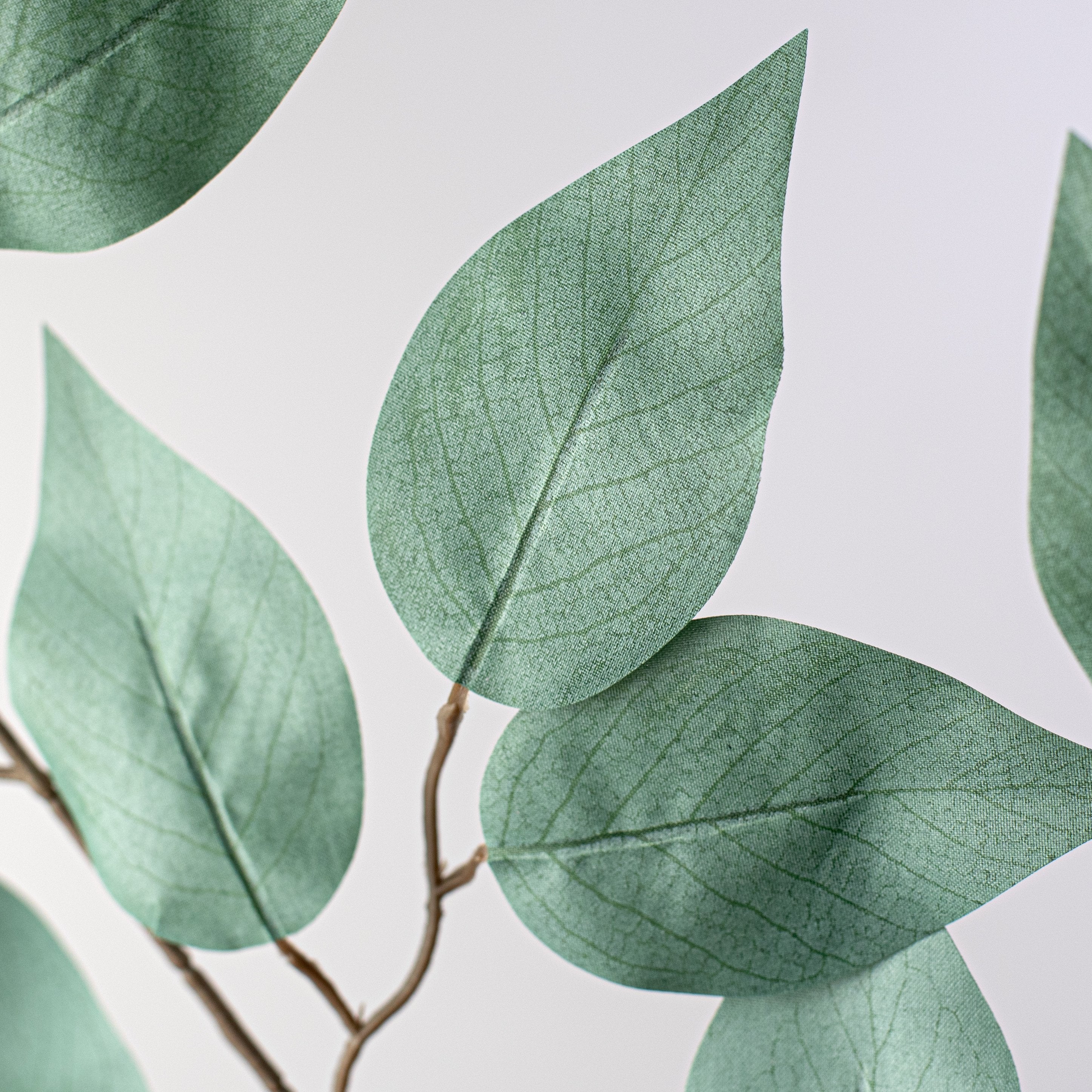 23" Ficus Leaf Spray: Sage Green (12)
