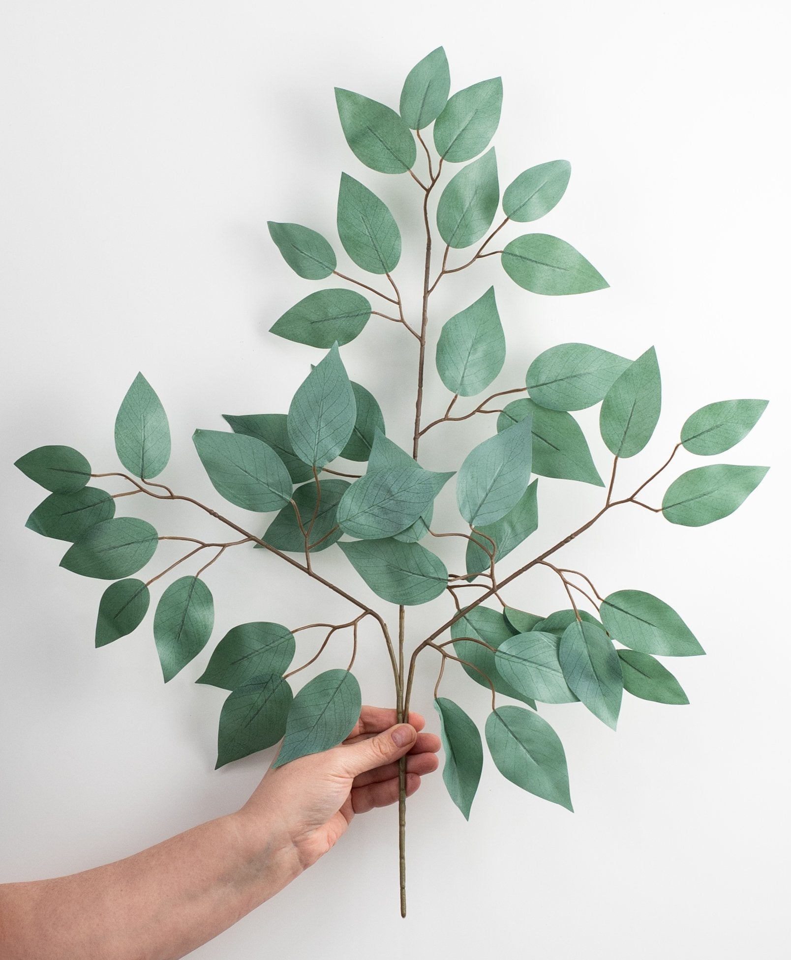23" Ficus Leaf Spray: Sage Green (12)