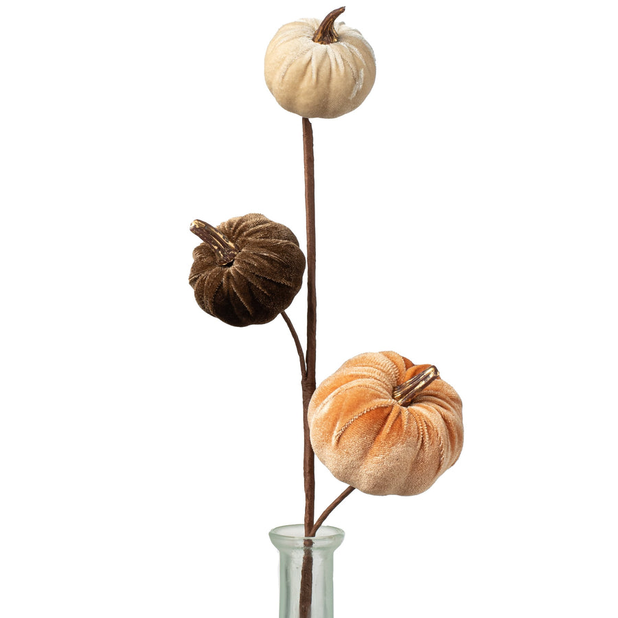 15" Velvet Pumpkins with Gold Stem Pick: Fall Mix