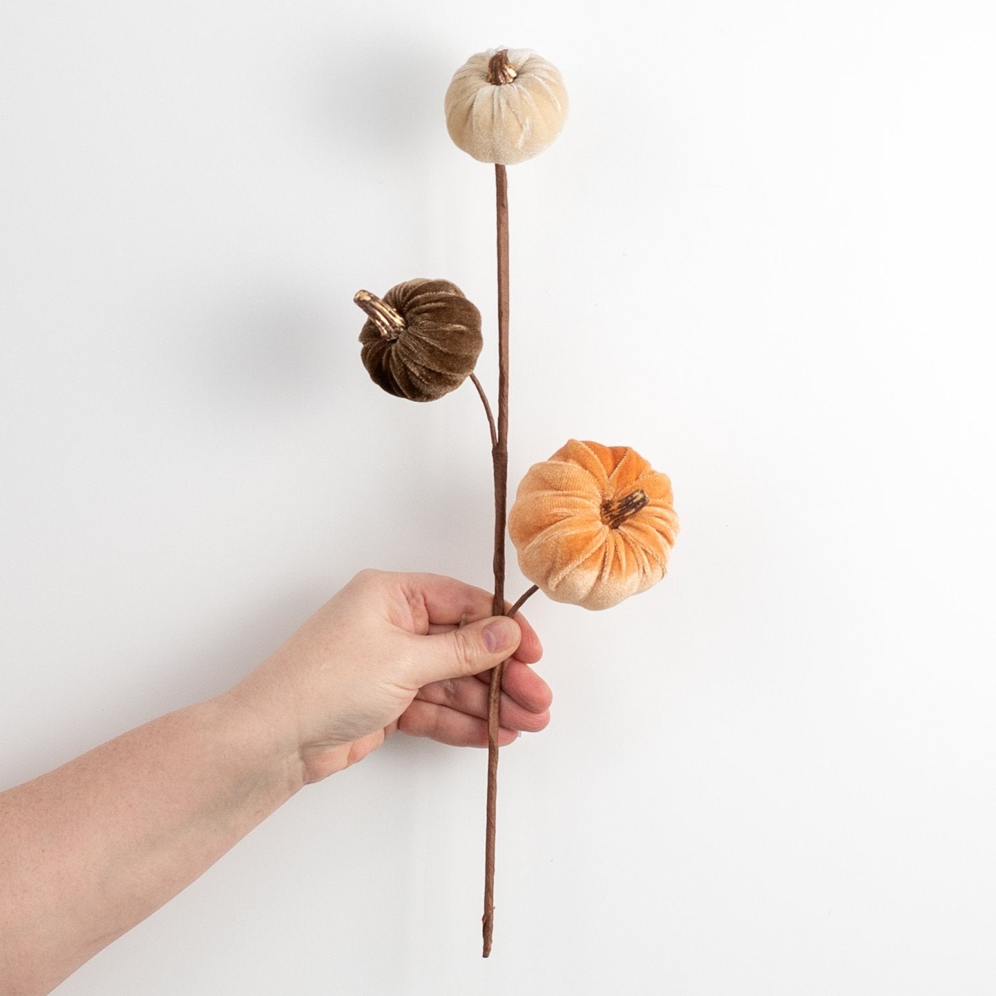 15" Velvet Pumpkins with Gold Stem Pick: Fall Mix