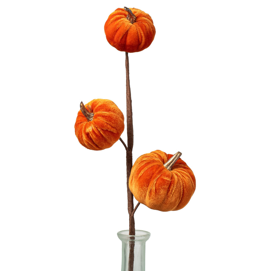 15" Velvet Pumpkins with Gold Stem Pick: Orange
