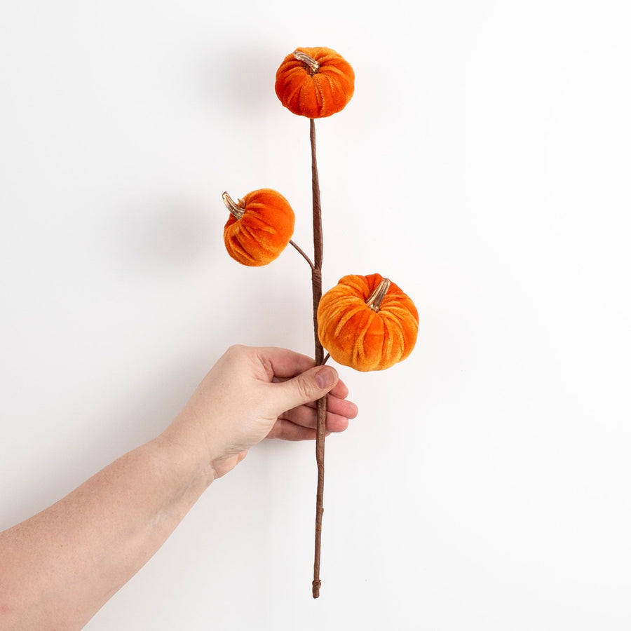 15" Velvet Pumpkins with Gold Stem Pick: Orange