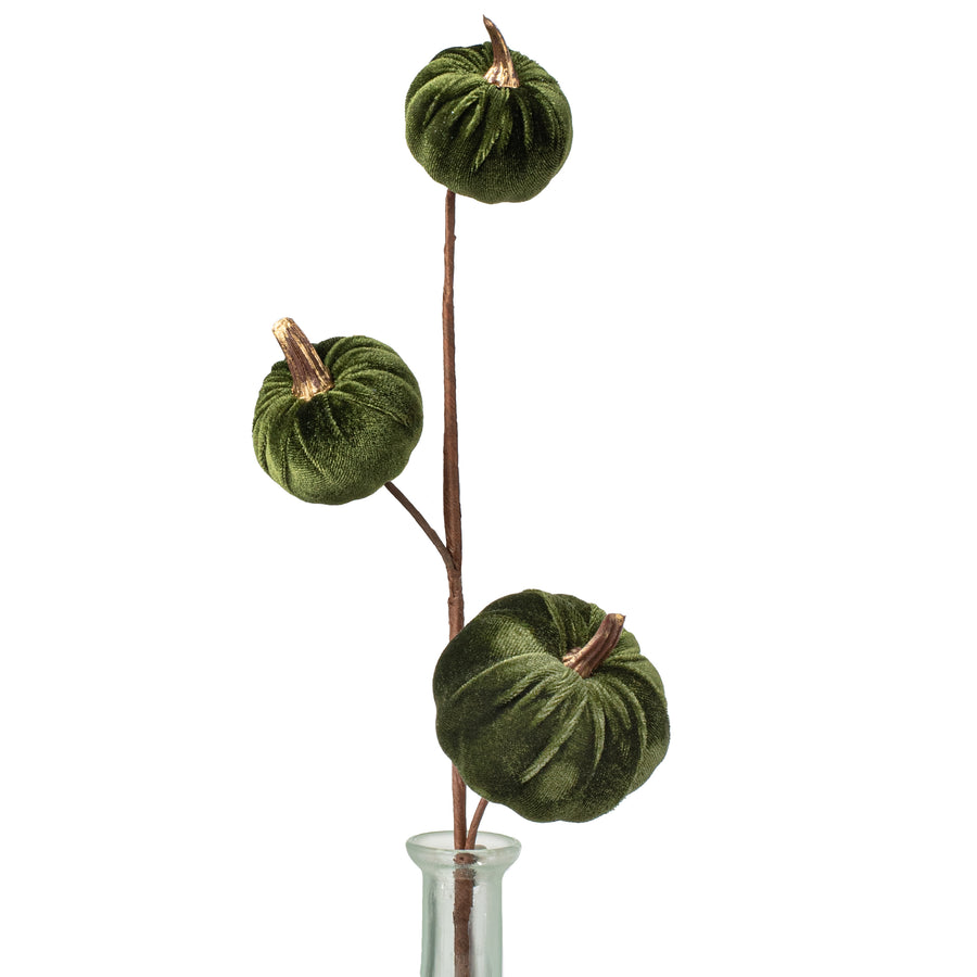 15" Velvet Pumpkins with Gold Stem Pick: Moss Green