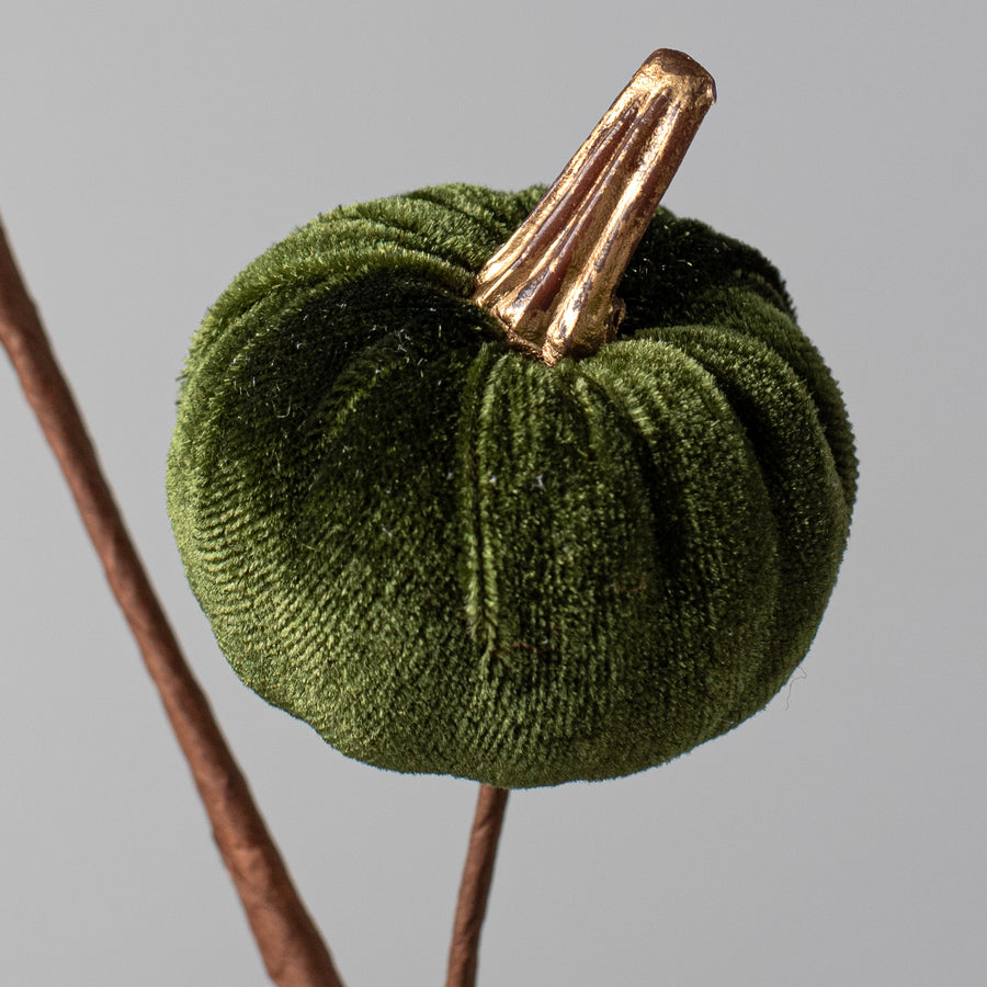 15" Velvet Pumpkins with Gold Stem Pick: Moss Green