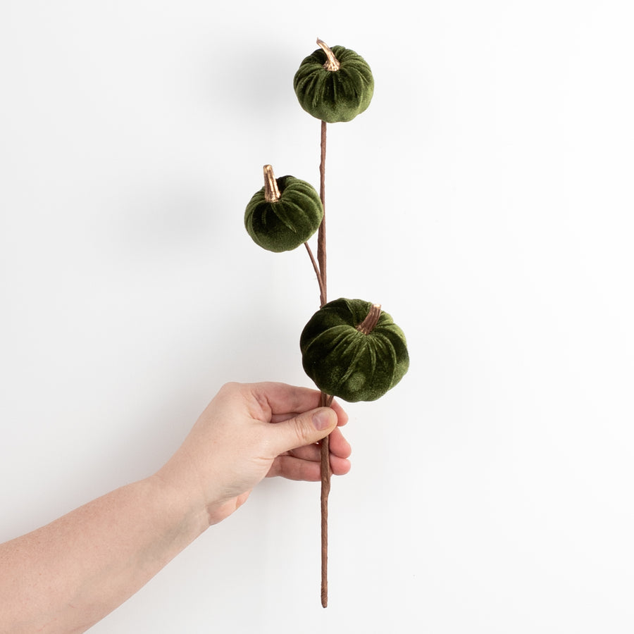 15" Velvet Pumpkins with Gold Stem Pick: Moss Green