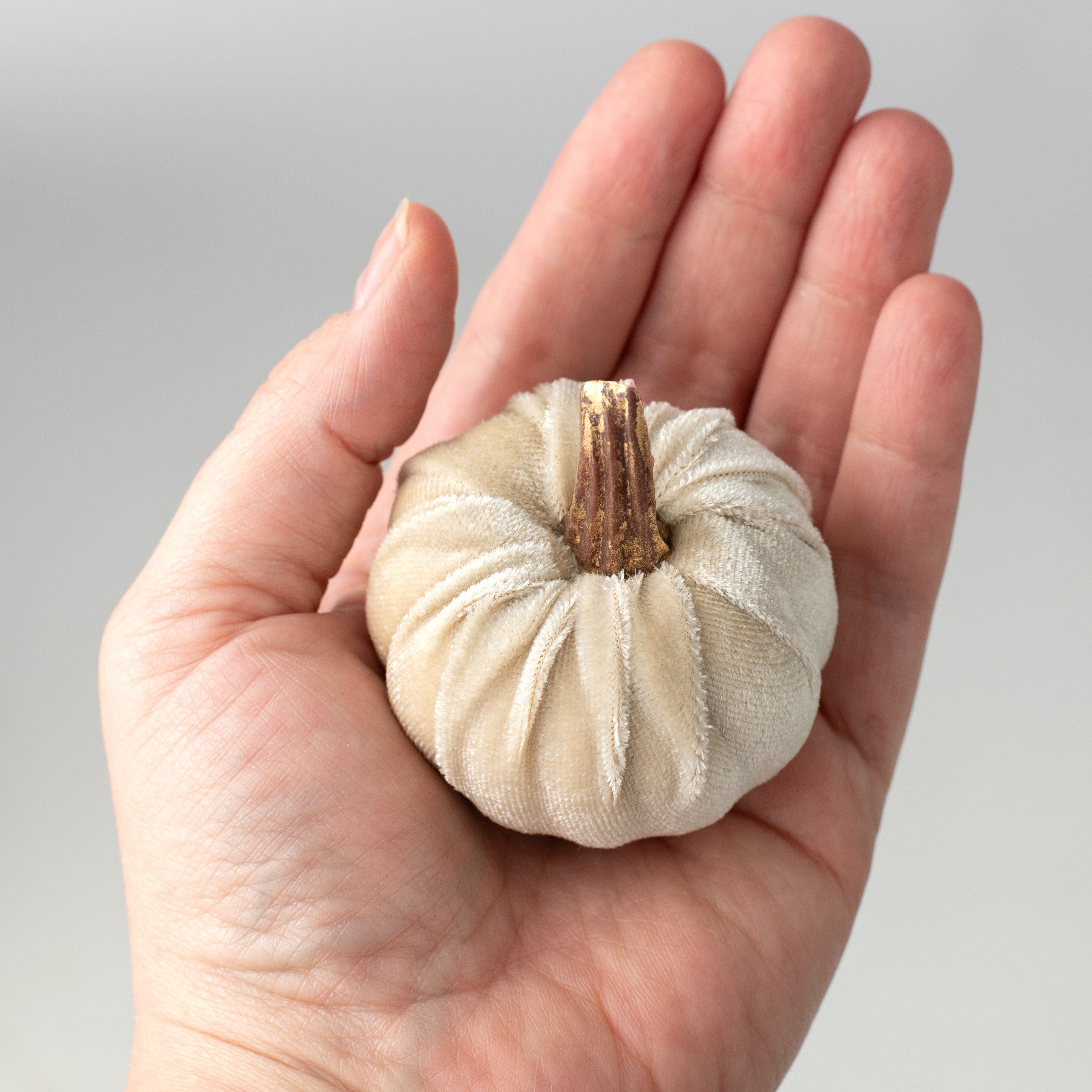 2" Velvet Pumpkins with Gold Stems: Champagne (Pack of 6)