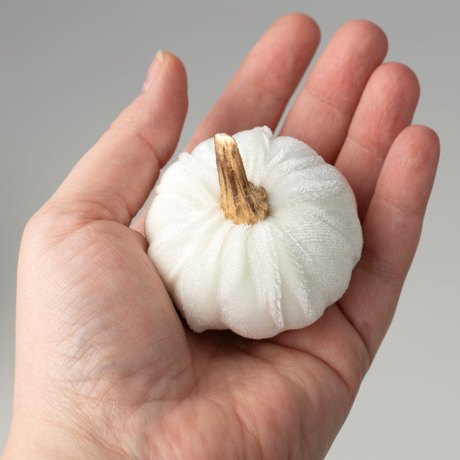 2" Velvet Pumpkins with Gold Stems: White (Pack of 6)