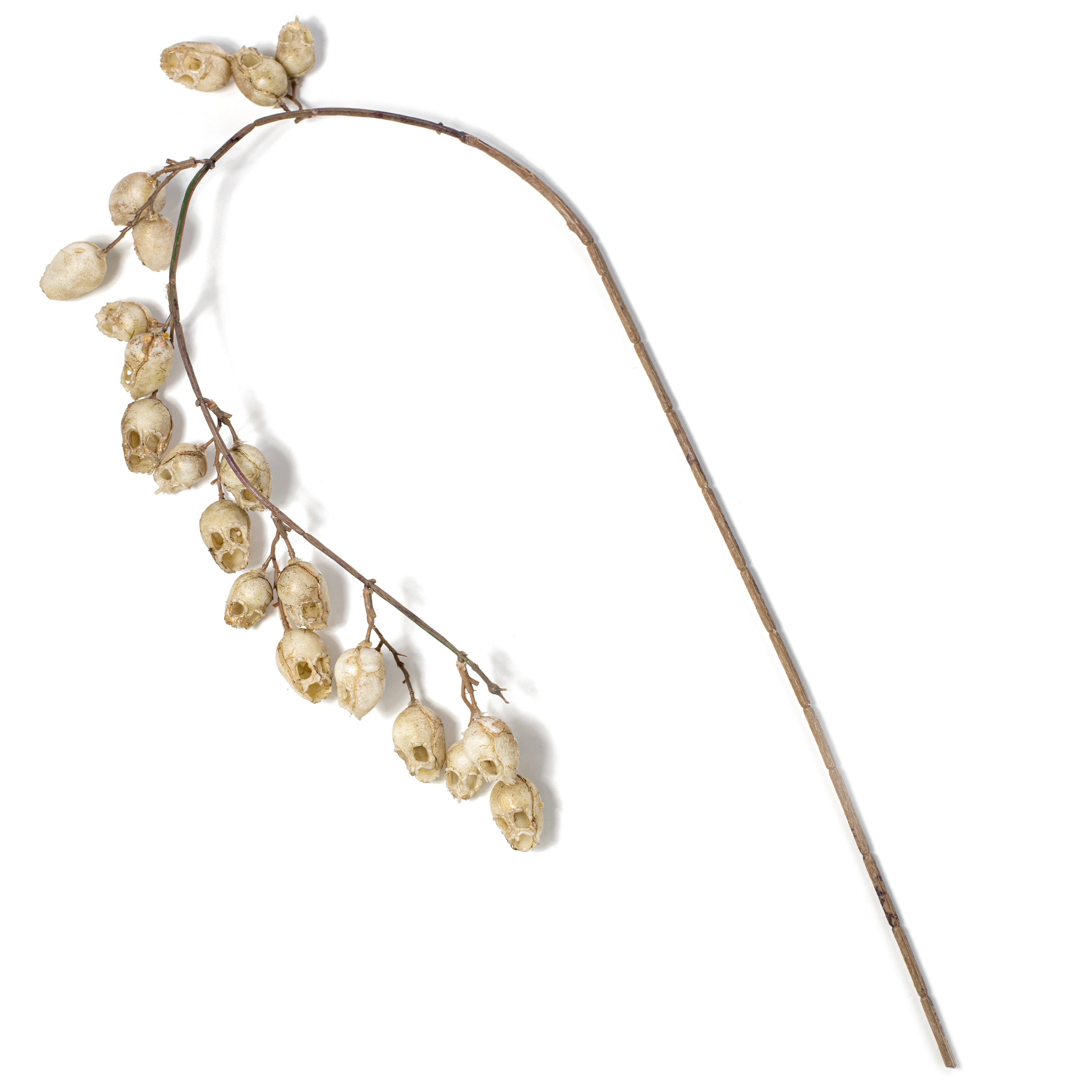 40" Hanging Skulls Spray