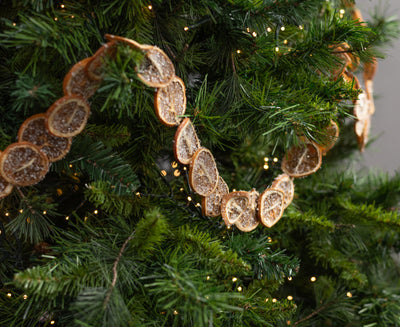 72" Natural Dried Orange Slices Garland