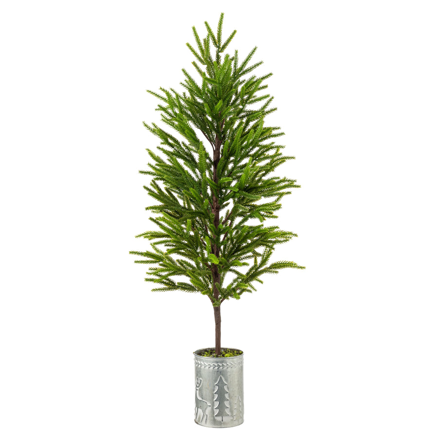 32" Norfolk Pine Potted Tree