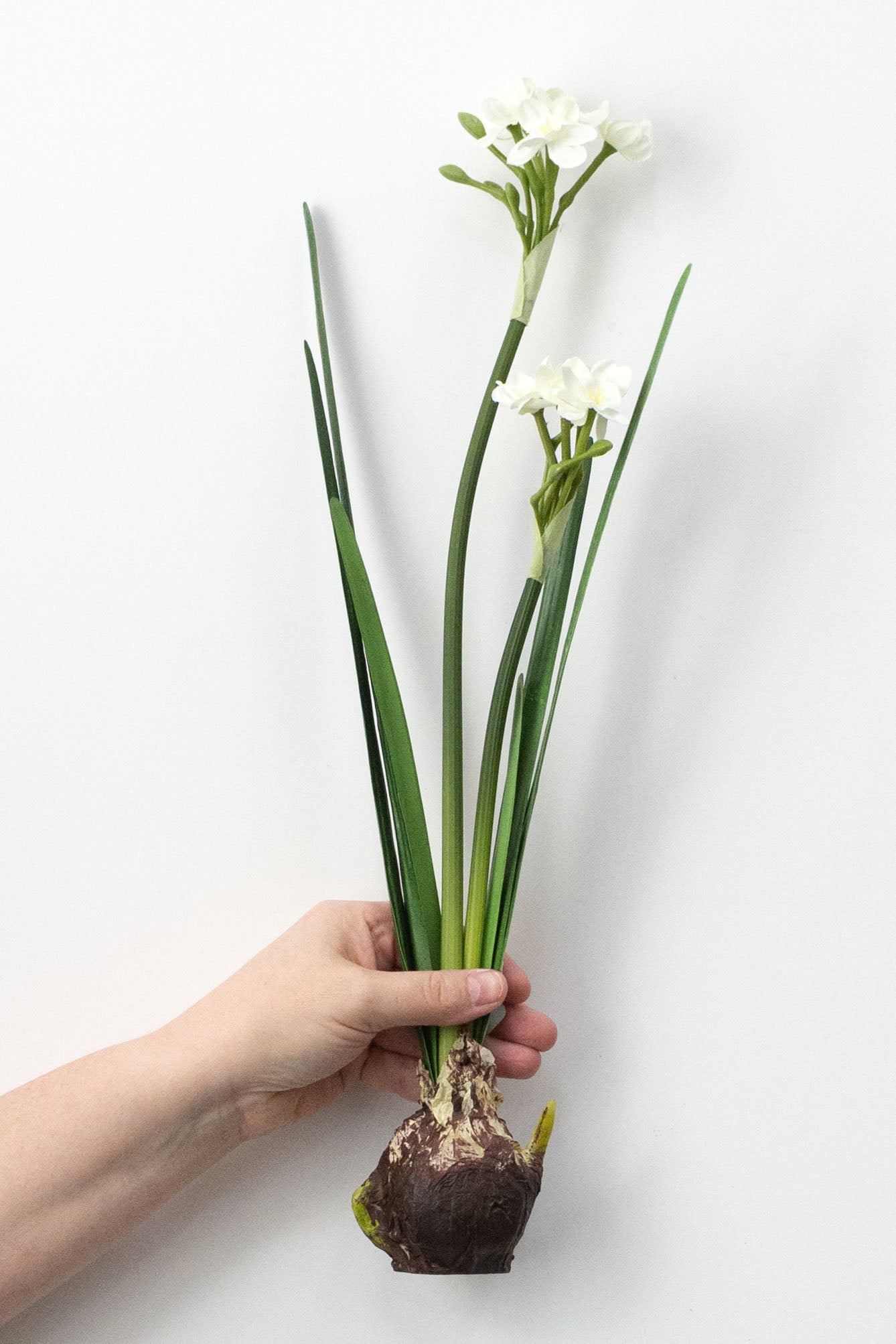 18" Artificial Paperwhite Narcissus Bulb