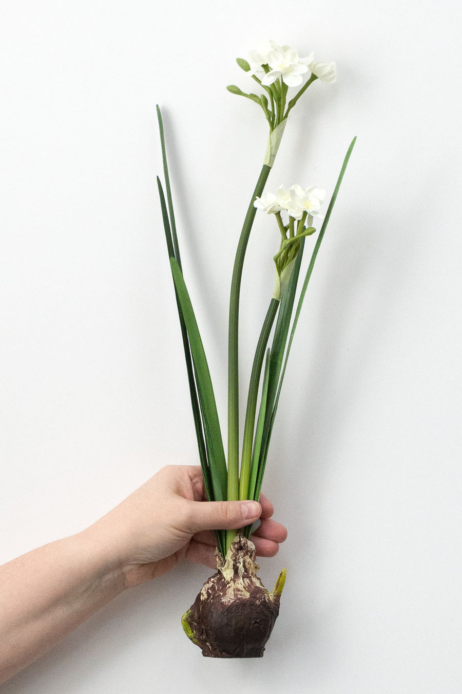 18" Artificial Paperwhite Narcissus Bulb