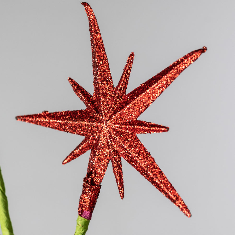 27" Bethlehem Star Spray: Red & Lime Green