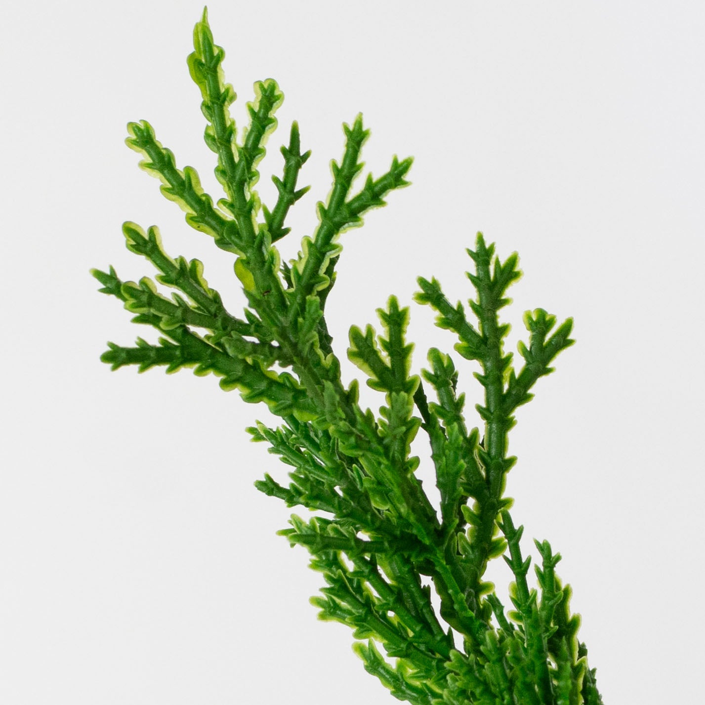 12" Artificial Juniper Pick