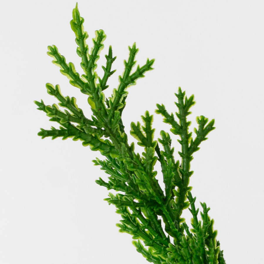 12" Artificial Juniper Pick