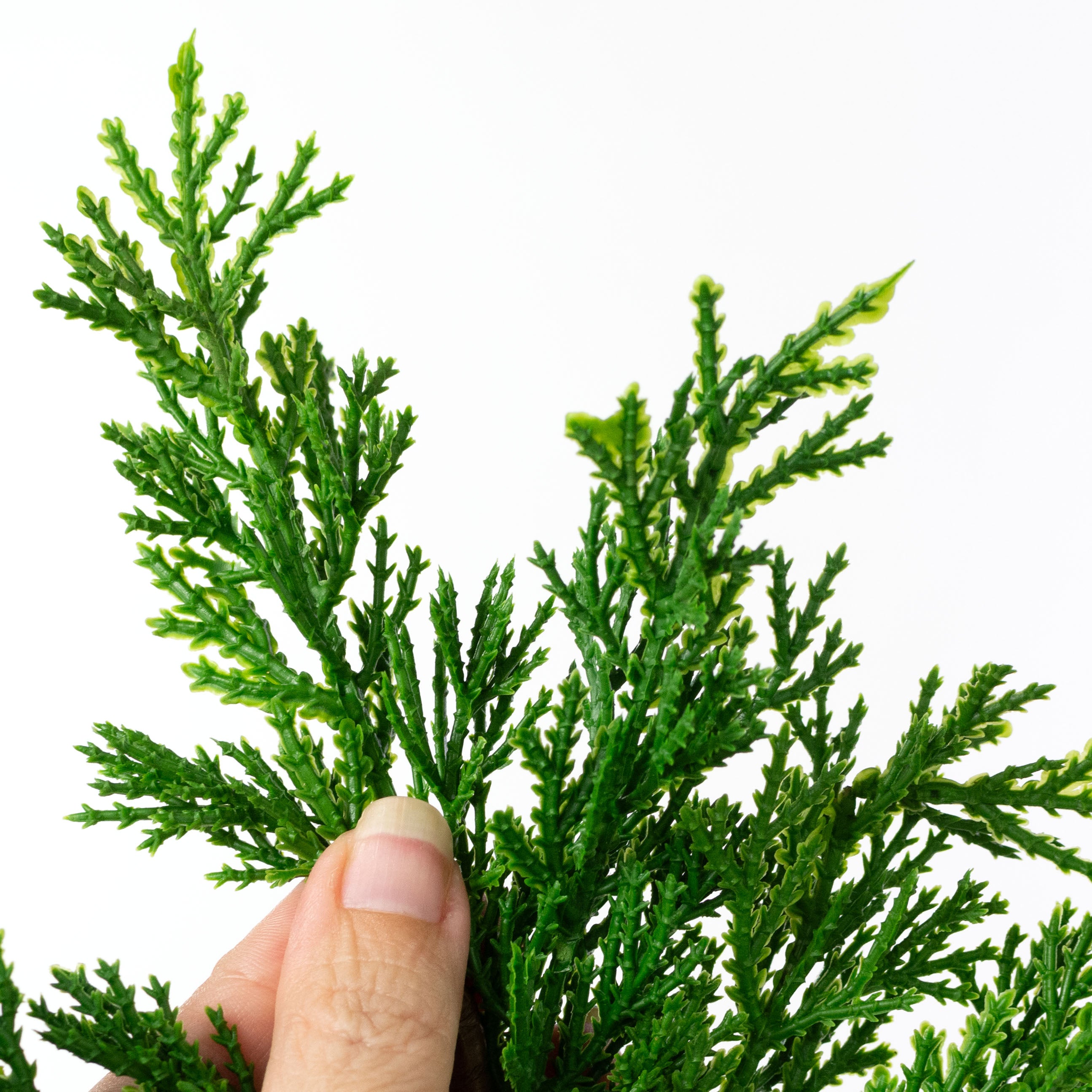 12" Artificial Juniper Pick
