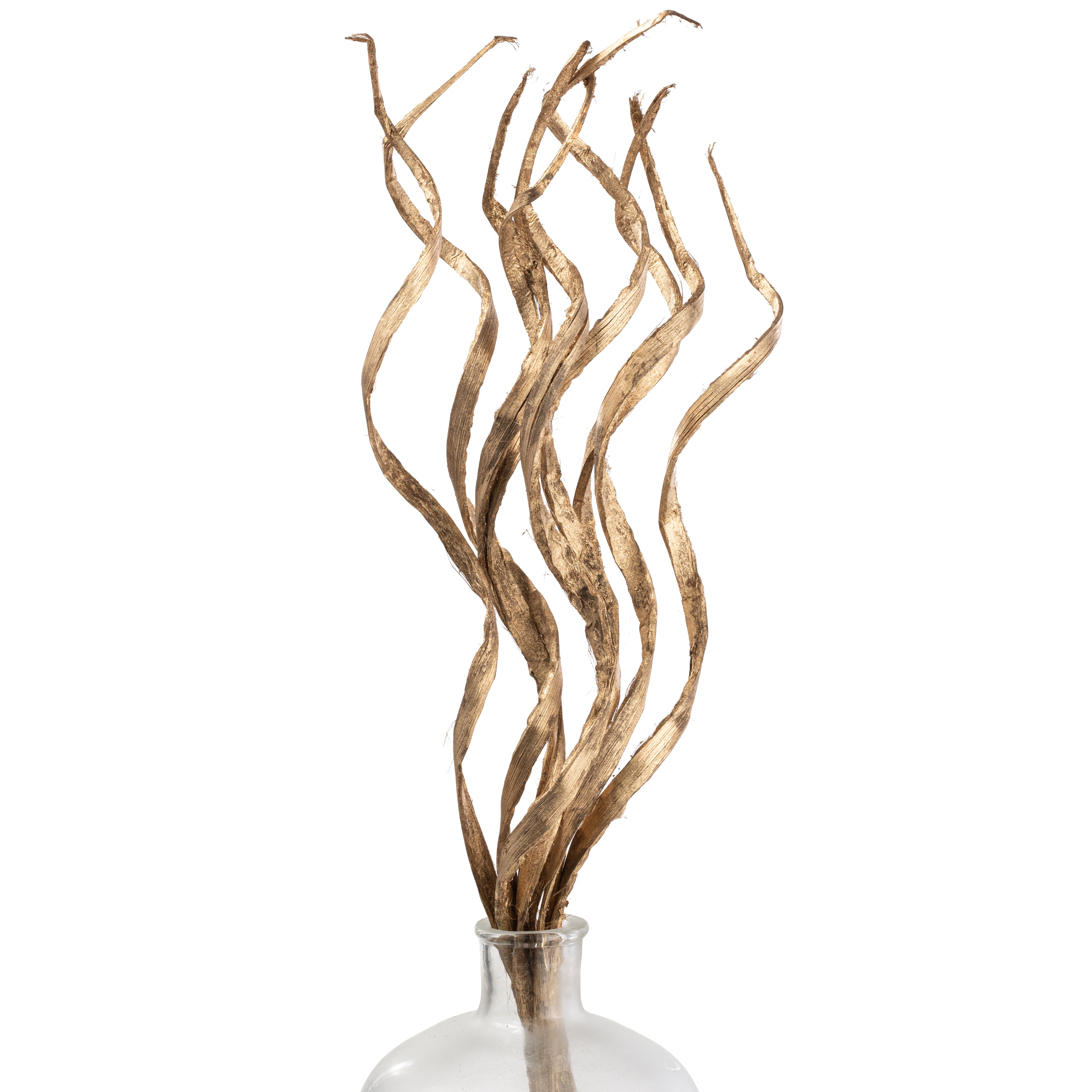 25" Dried Curly Coco Palm Grass Bundle: Gold