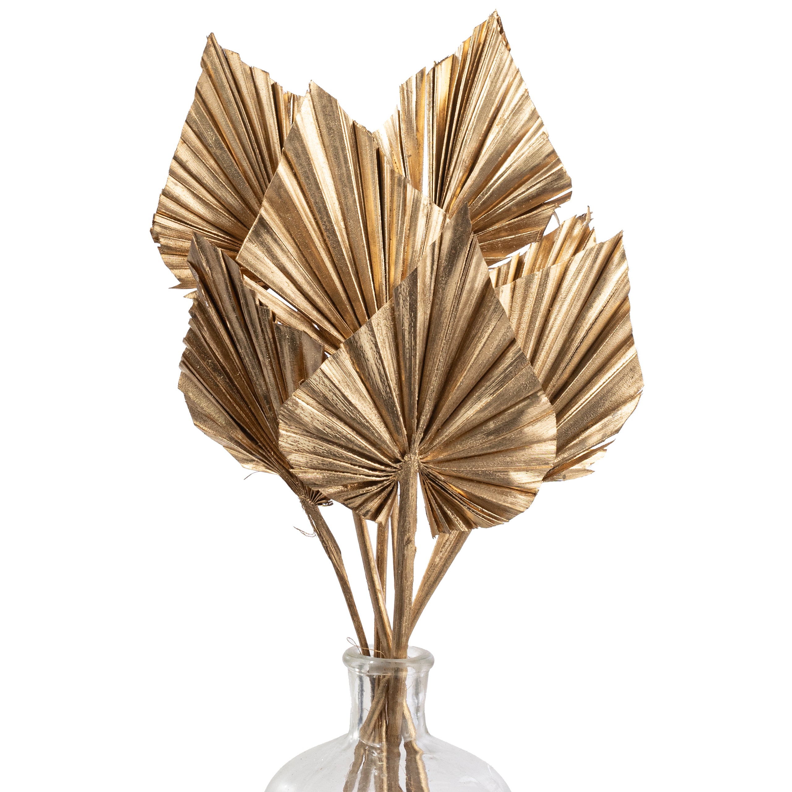 16-20" Dried Palm Spears Bundle: Gold