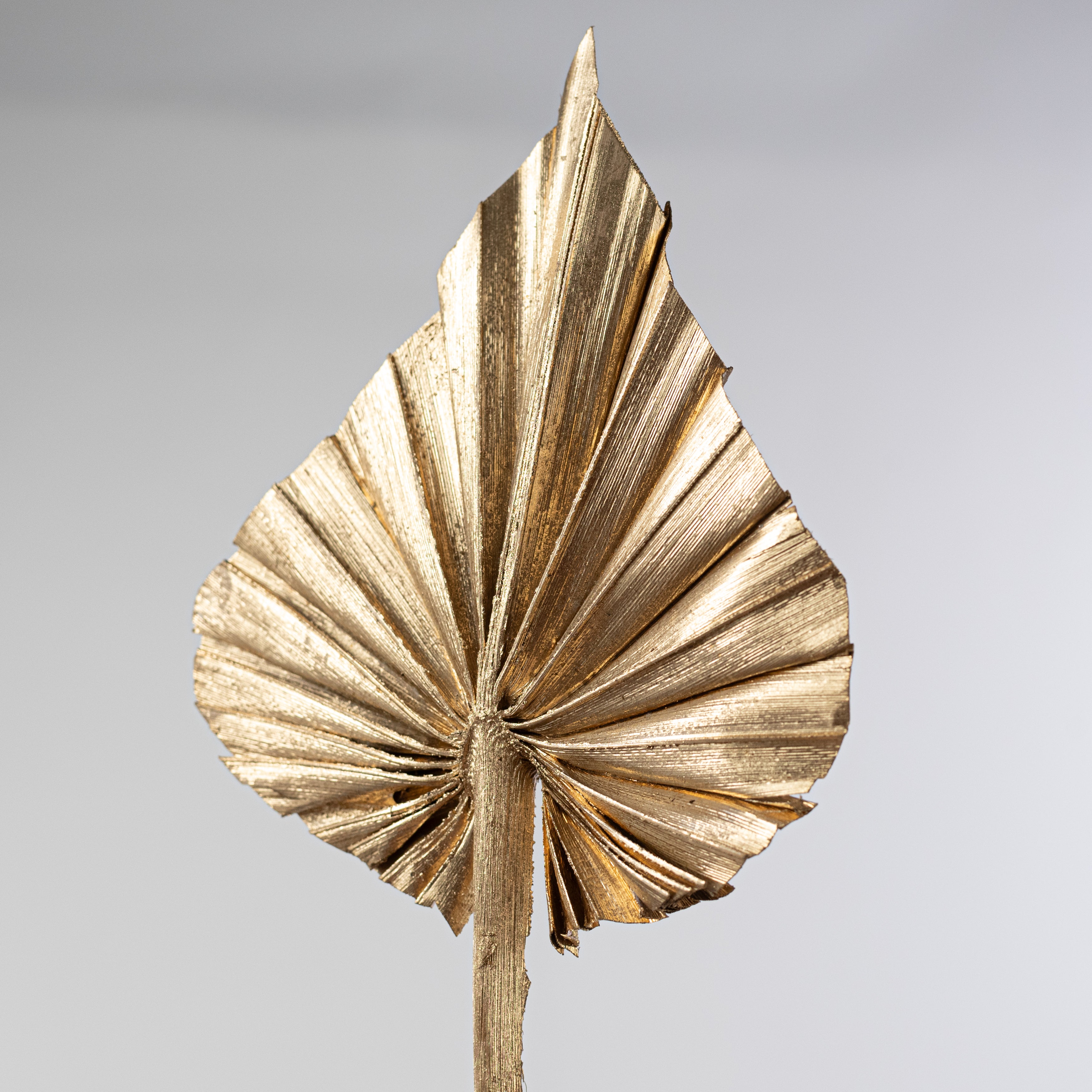 16-20" Dried Palm Spears Bundle: Gold