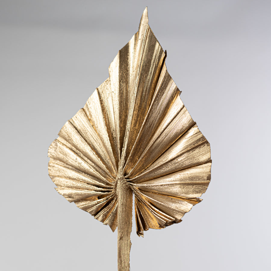 16-20" Dried Palm Spears Bundle: Gold