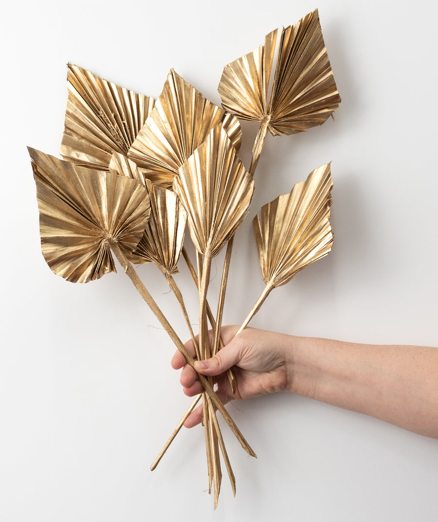 16-20" Dried Palm Spears Bundle: Gold