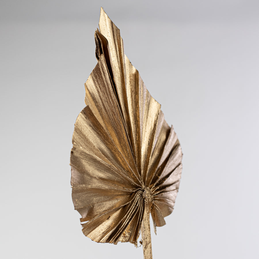 16-20" Dried Palm Spears Bundle: Gold