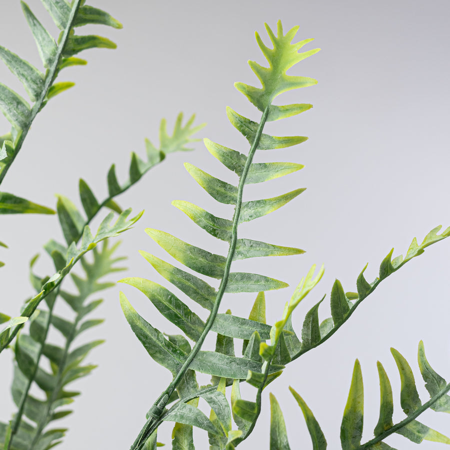 23" Matte Plastic Fern Bush
