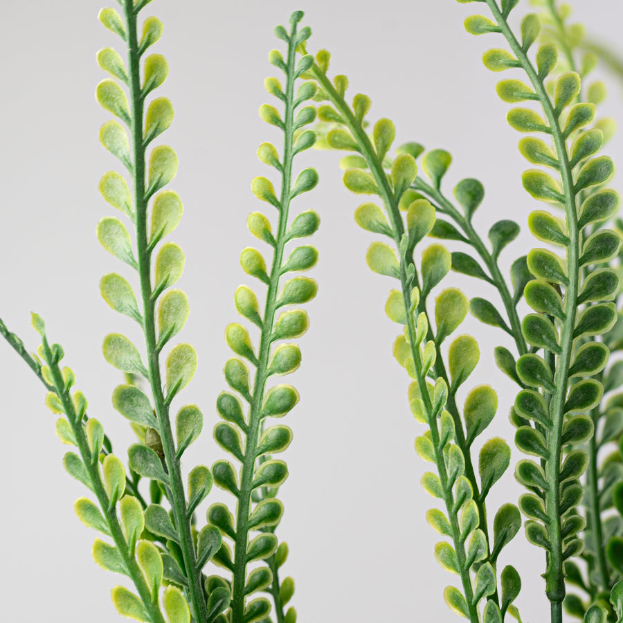 21" Plastic Button Fern Bush