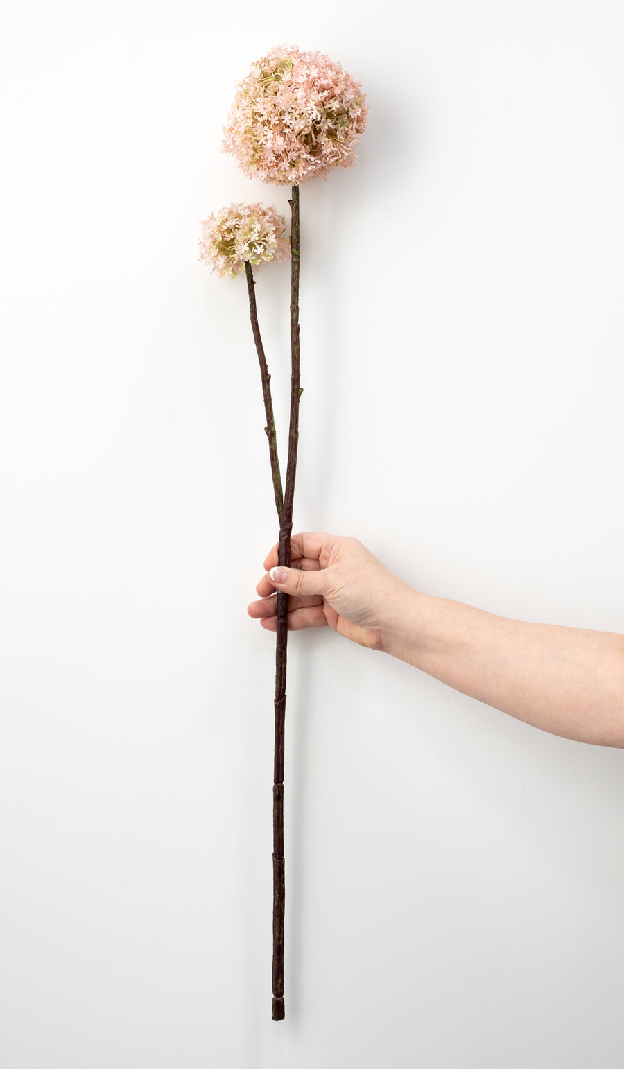 32" Snowball Viburnum Spray: Pink